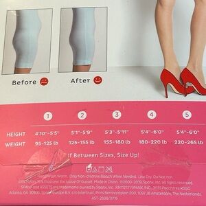 Asset Spanx -High Waist Shaping Sheers full length pantyhose nude color